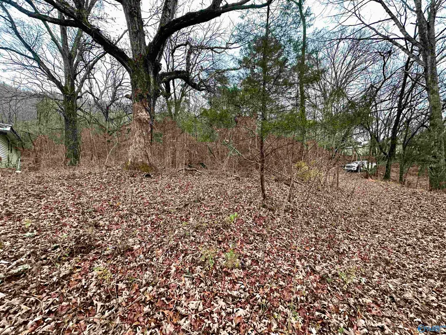 114 Carden Street, Valley Head, AL 35989 - Image #2