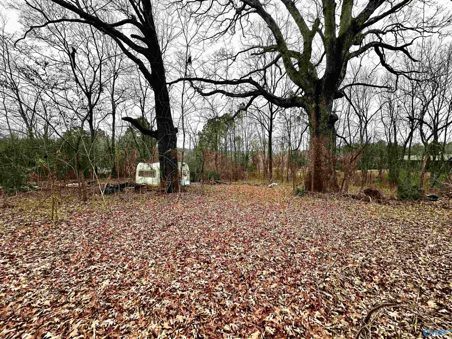 114 Carden Street, Valley Head, AL 35989 - Image #3