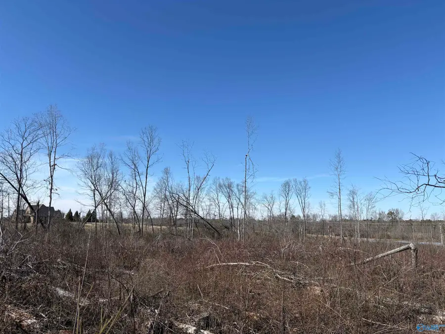 5ac Alabama Highway 40, Henagar, AL 35798 - #2