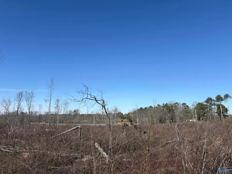 5ac Alabama Highway 40, Henagar, AL 35798 - #3