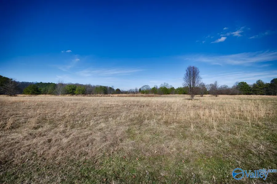 Tract 1 Barksdale Road, Athens, AL 35613 - Image #2