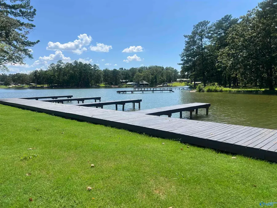 Lot 10 County Road 595, Cedar Bluff, AL 35959 - Image #2