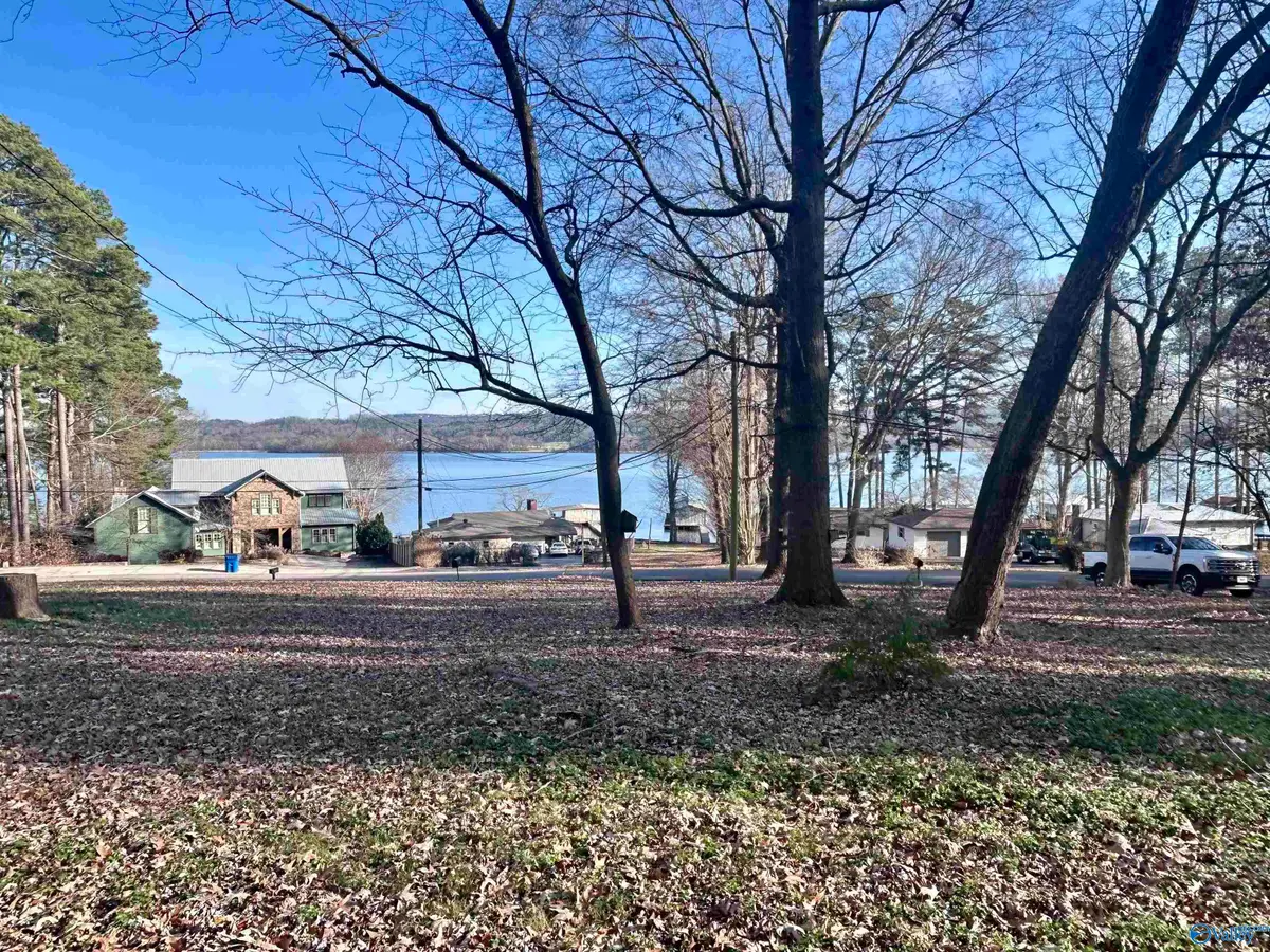 520 Point Of Pines, Guntersville, AL 35976 - Image #1