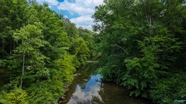 8.7 ACRES County Road 632, Mentone, AL 35984