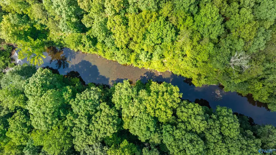 8.7 ACRES County Road 632, Mentone, AL 35984 - Image #2