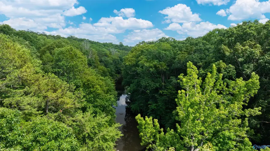 8.7 ACRES County Road 632, Mentone, AL 35984 - Image #3