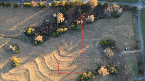 2.19 Baker Mountain Road, Grant, AL 35747