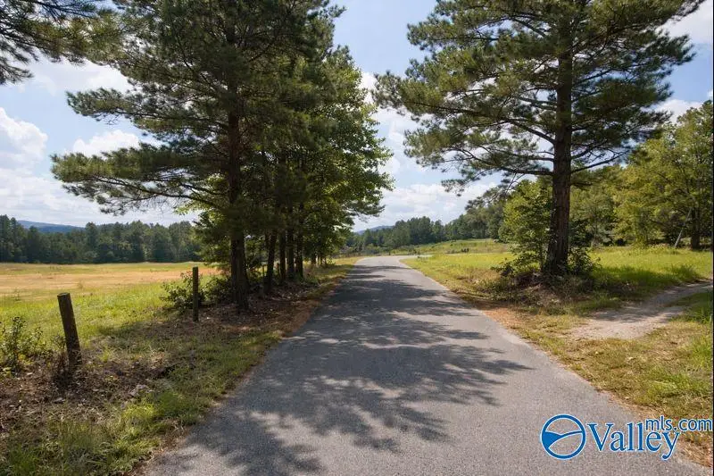 1280 Mack Alexander Road, Piedmont, AL 36272 - Image #3