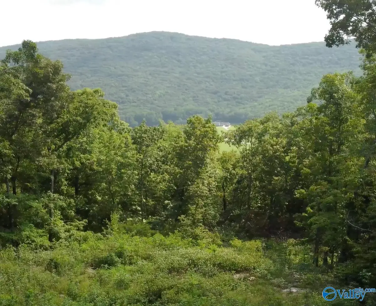 85 Watson Grande Way Ne, Owens Cross Roads, AL 35763 - Image #1