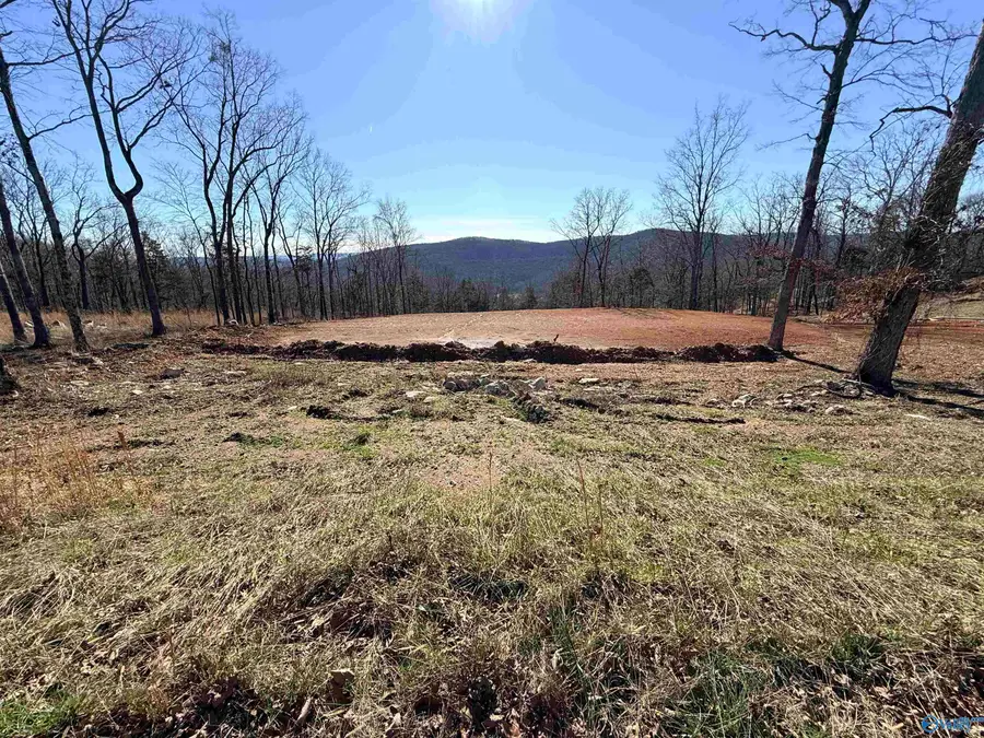 85 Watson Grande Way Ne, Owens Cross Roads, AL 35763 - #2