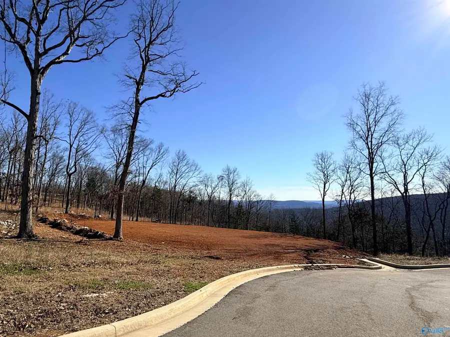 85 Watson Grande Way Ne, Owens Cross Roads, AL 35763 - #3