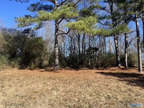 001 A County Road 1375, Falkville, AL 35622