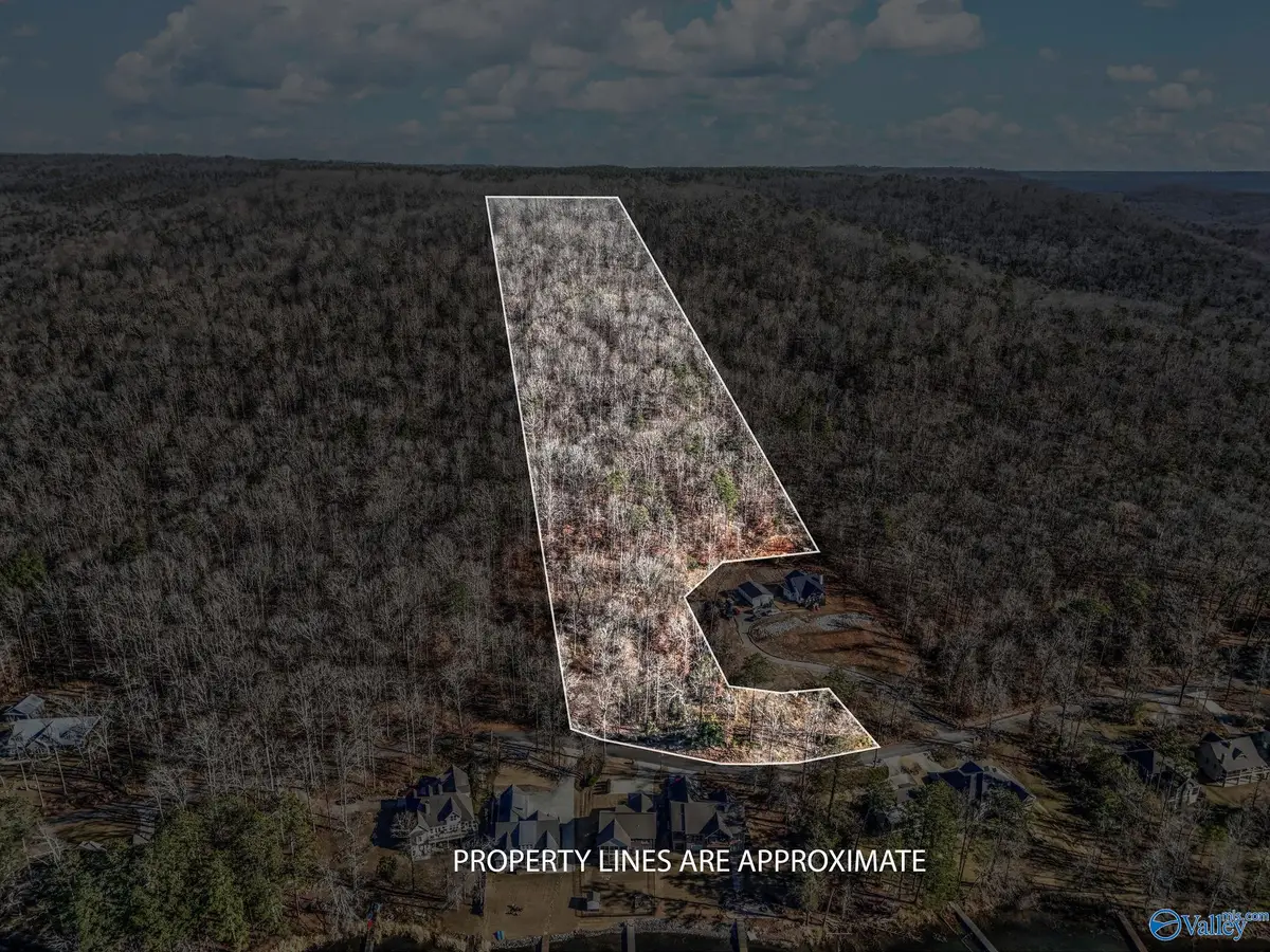 Lot 5 White Elephant Road, Grant, AL 35747 - Image #1