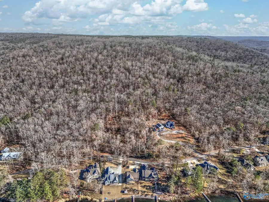 Lot 5 White Elephant Road, Grant, AL 35747 - Image #2