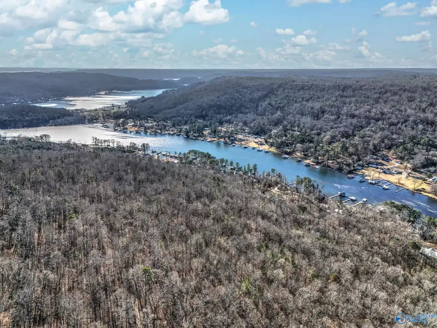 Lot 5 White Elephant Road, Grant, AL 35747 - Image #3