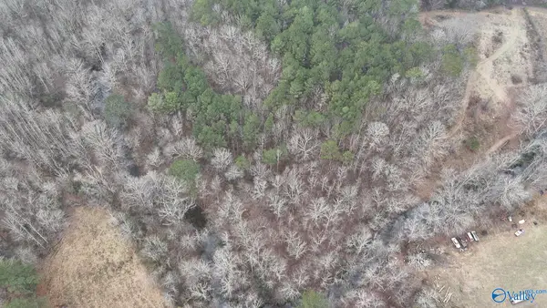 1 Sugarland Lake Resort, Oneonta, AL 35121