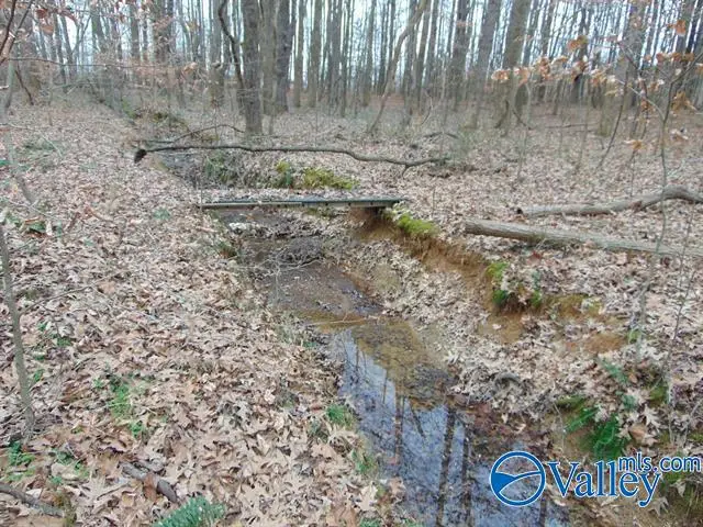 11 Bobo Section Road, Hazel Green, AL 35750 - Image #1