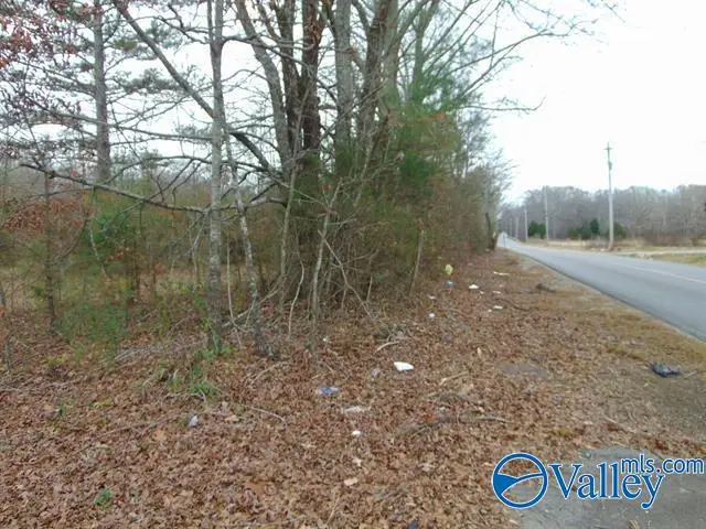 11 Bobo Section Road, Hazel Green, AL 35750 - Image #3