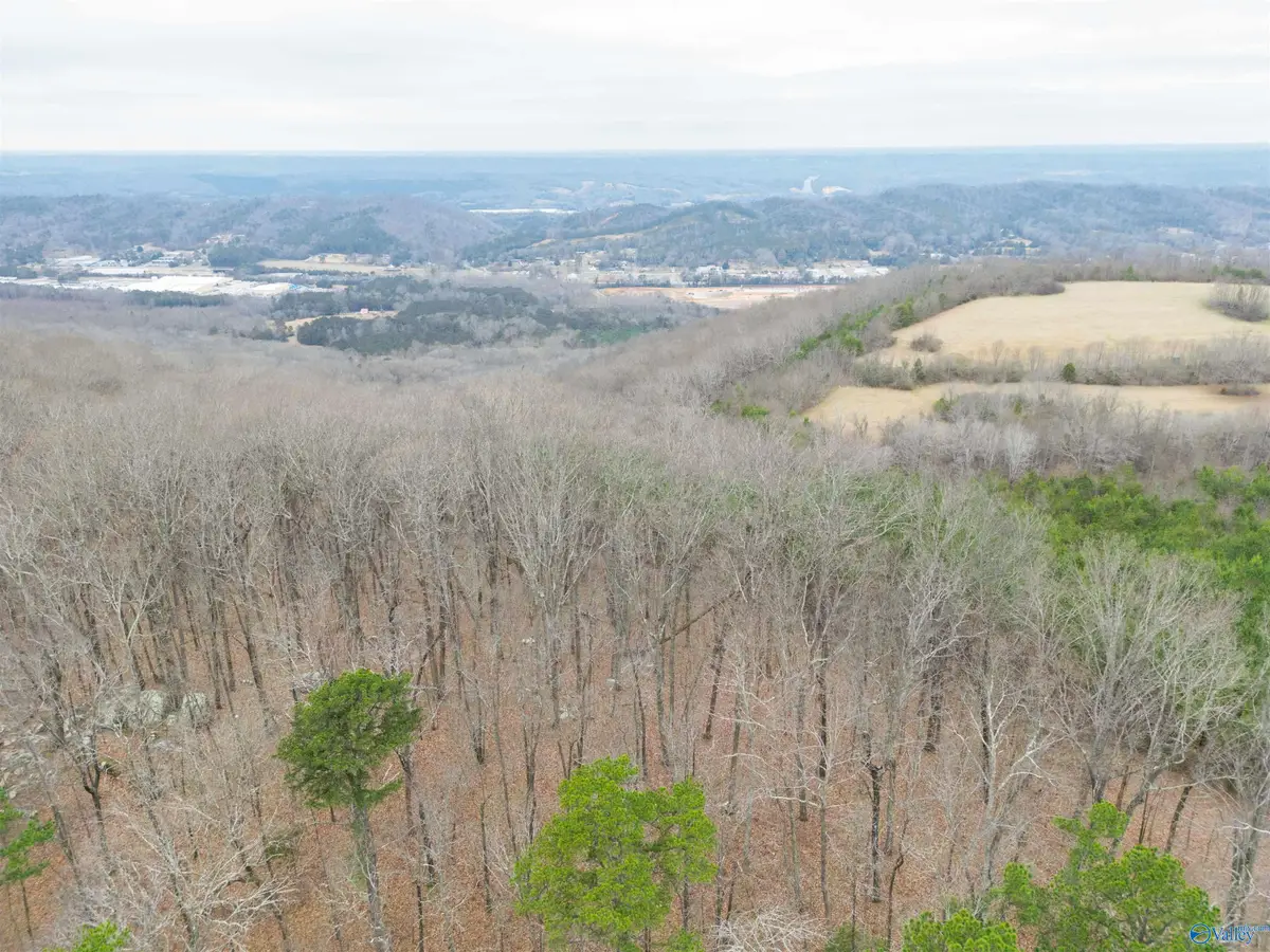 2.25 acres Dogtown Road, Fort Payne, AL 35967 - Image #1