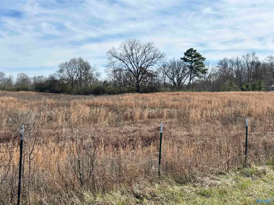 0.75 ac Strange Road, Horton, AL 35980 - Image #2