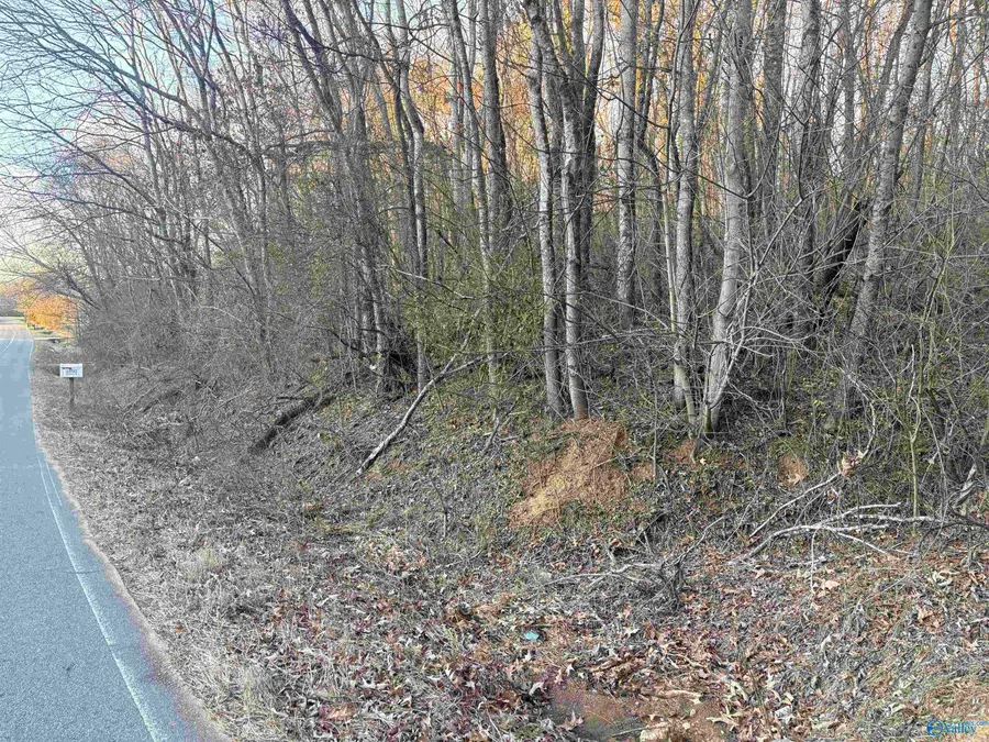 Lot 4 and 5 Snodgrass Road, Scottsboro, AL 35769 - Image #2