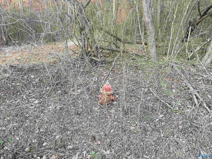 Lot 4 and 5 Snodgrass Road, Scottsboro, AL 35769 - Image #3