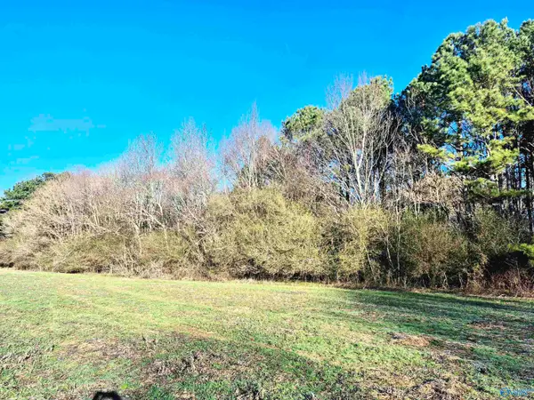 1325 Scant City Road, Guntersville, AL 35976