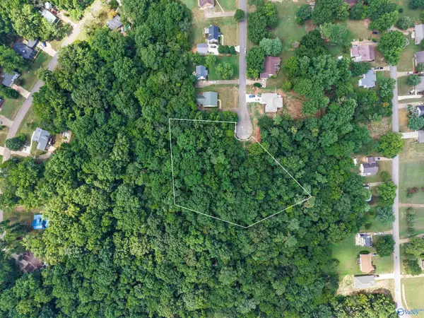 24390 Cedar Lane, Elkmont, AL 35620