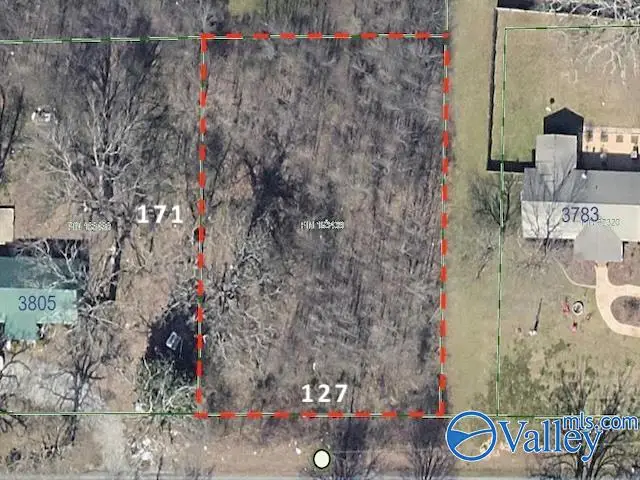 3795 Elkwood Section Road, Toney, AL 35773 - Image #2