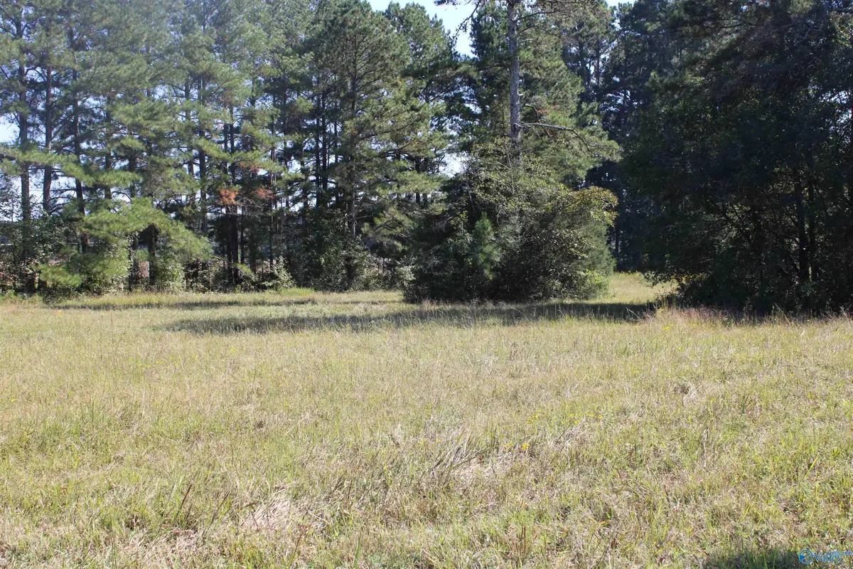 lot 1,2,3 Mooresville Road, Elkmont, AL 35620 - Image #1