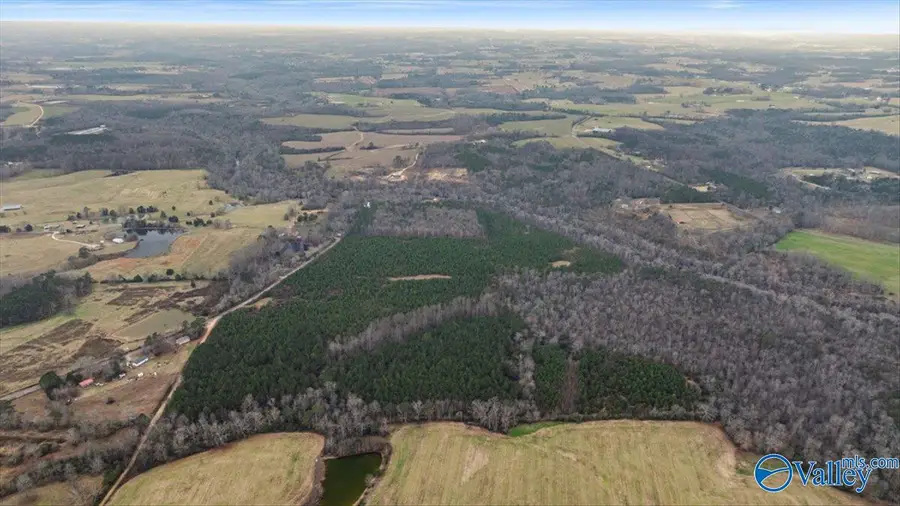 906 County Road 318, Dawson, AL 35963 - Image #3