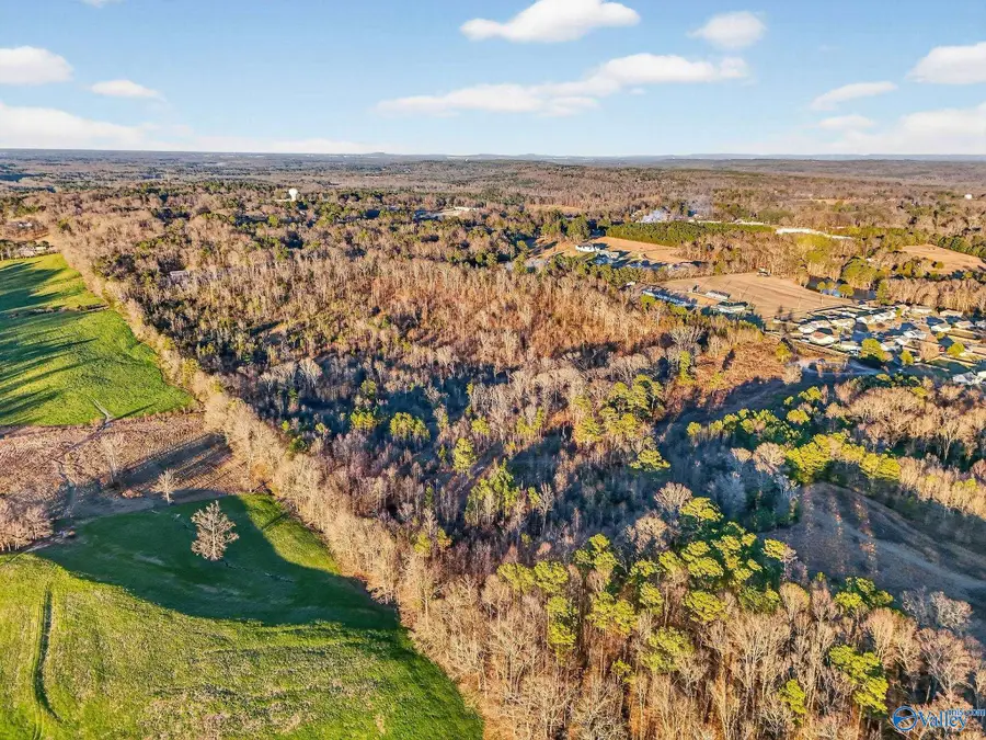 W W Moss Chapel Road, Hartselle, AL 35640 - Image #3