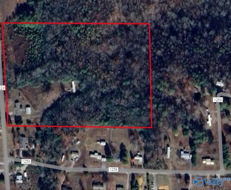 6464 County Road 1223, Falkville, AL 35622 - Image #2