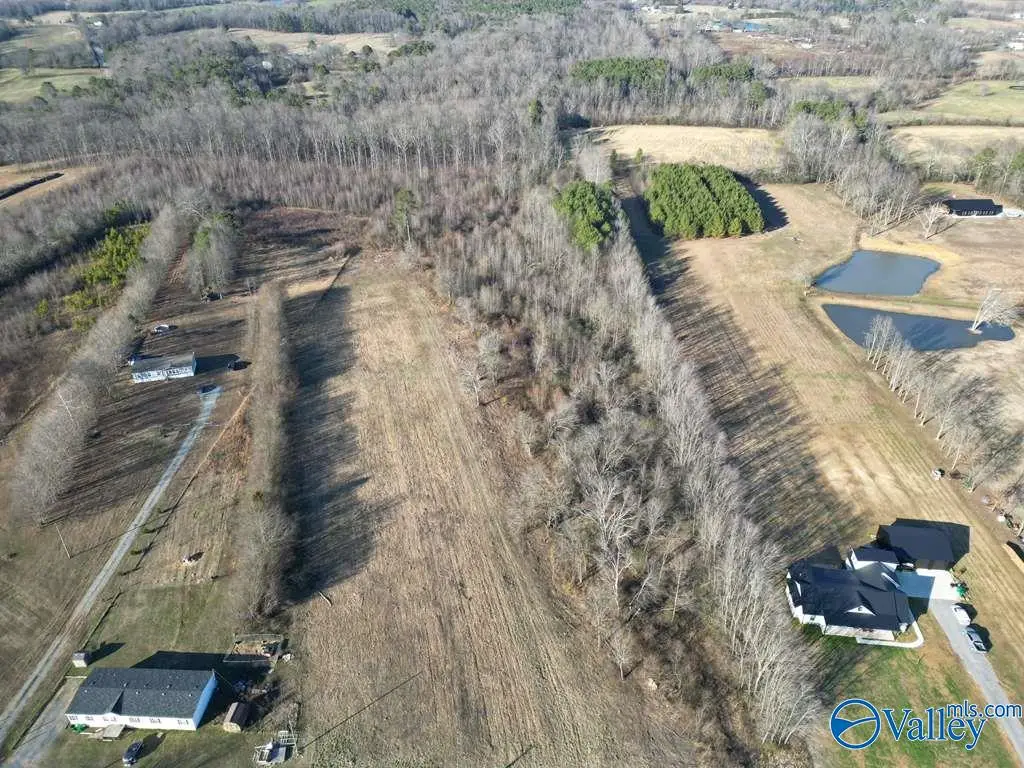 6.5 Acres County Road 1597, Baileyton, AL 35019 - Image #1