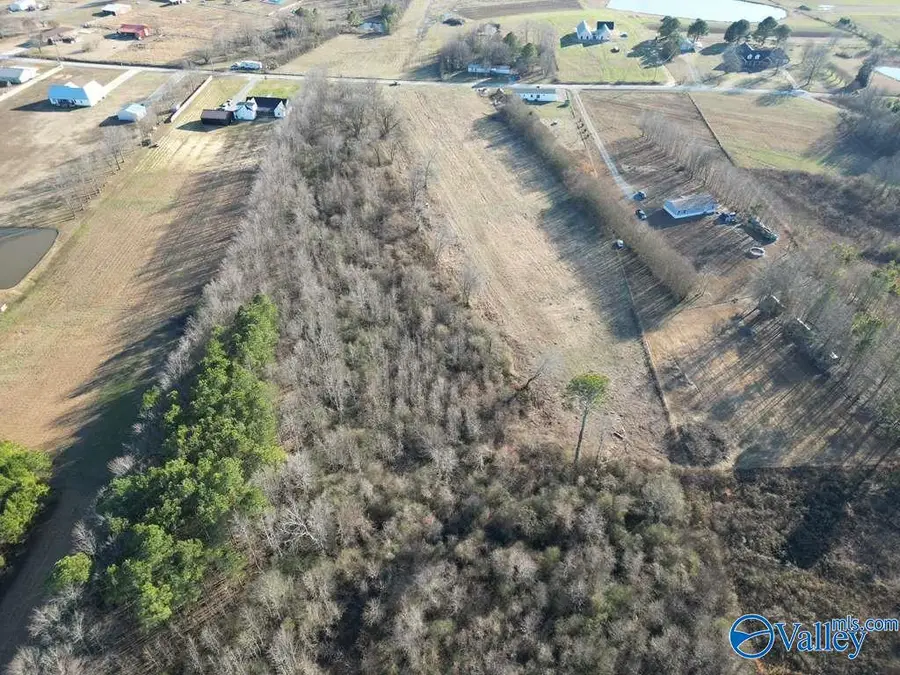 6.5 Acres County Road 1597, Baileyton, AL 35019 - Image #3