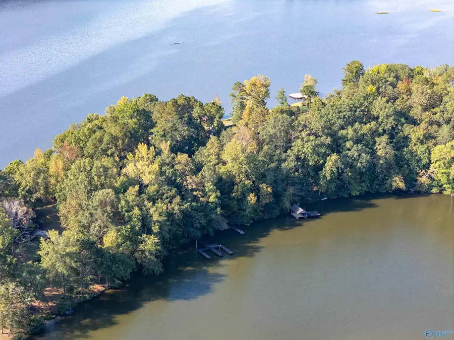 10 County Road 479, Cedar Bluff, AL 35959 - Image #2