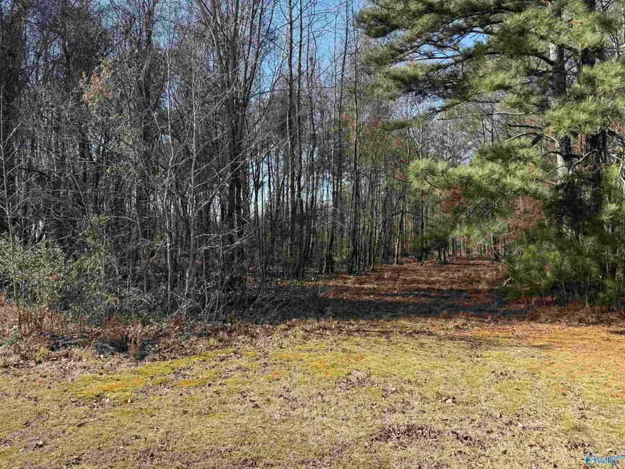 5 Mose Chapel Road, Madison, AL 35758 - Image #3