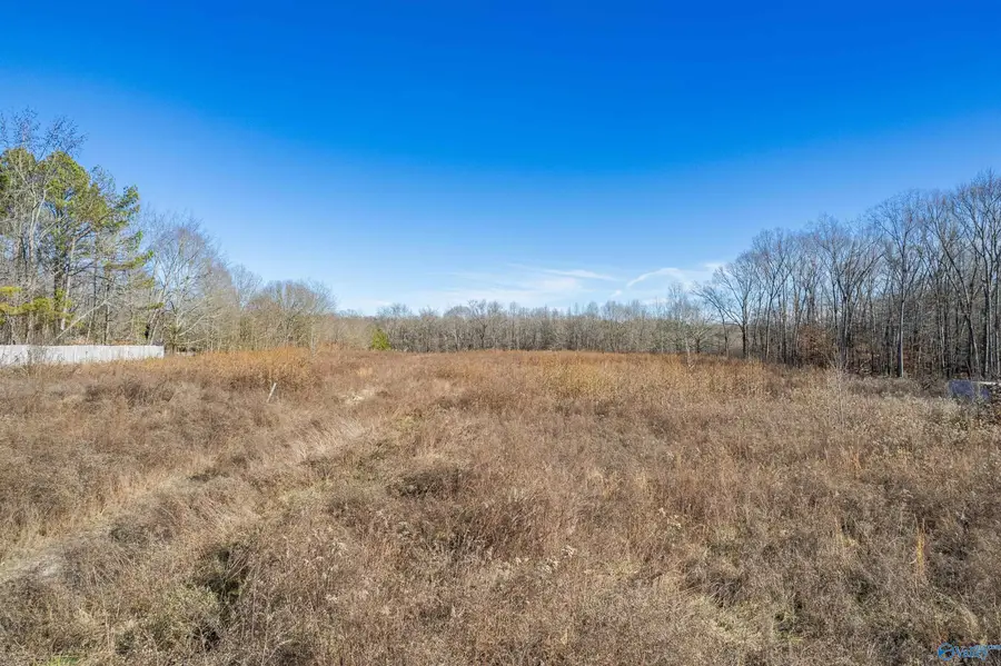 1589 Scott Road, Hazel Green, AL 35750 - Image #3