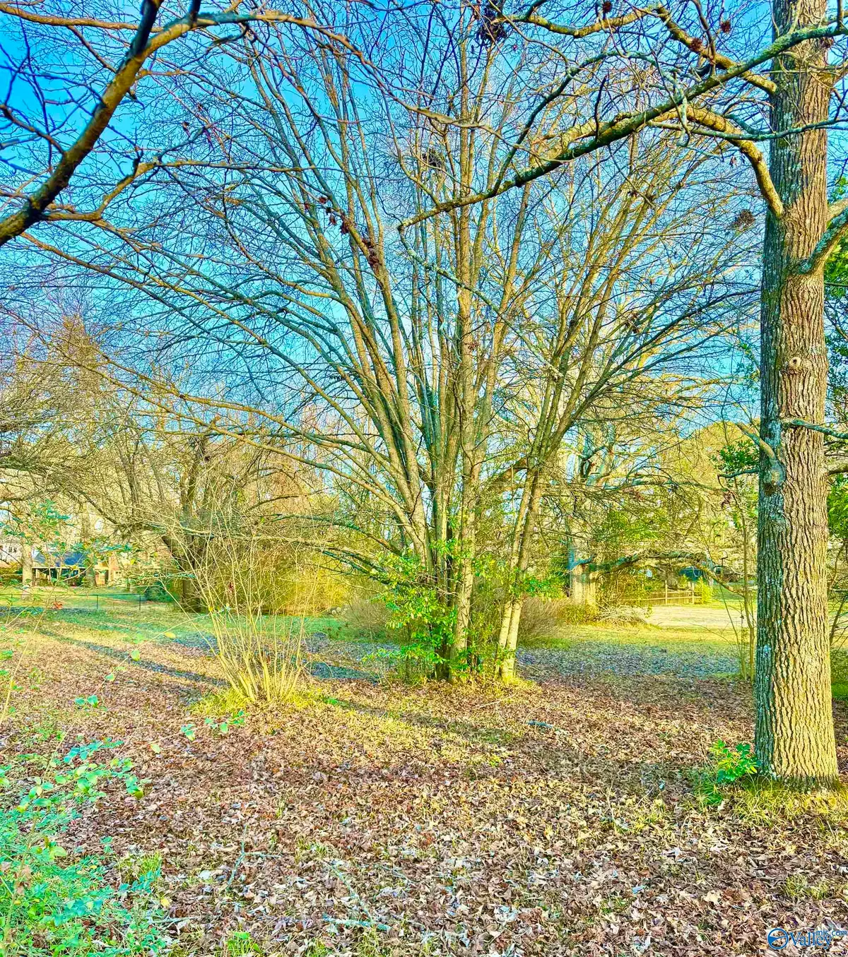 Lot 3 Corsbie Street, Hartselle, AL 35640 - Image #1