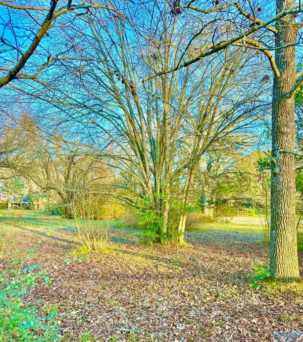 Lot 3 Corsbie Street, Hartselle, AL 35640