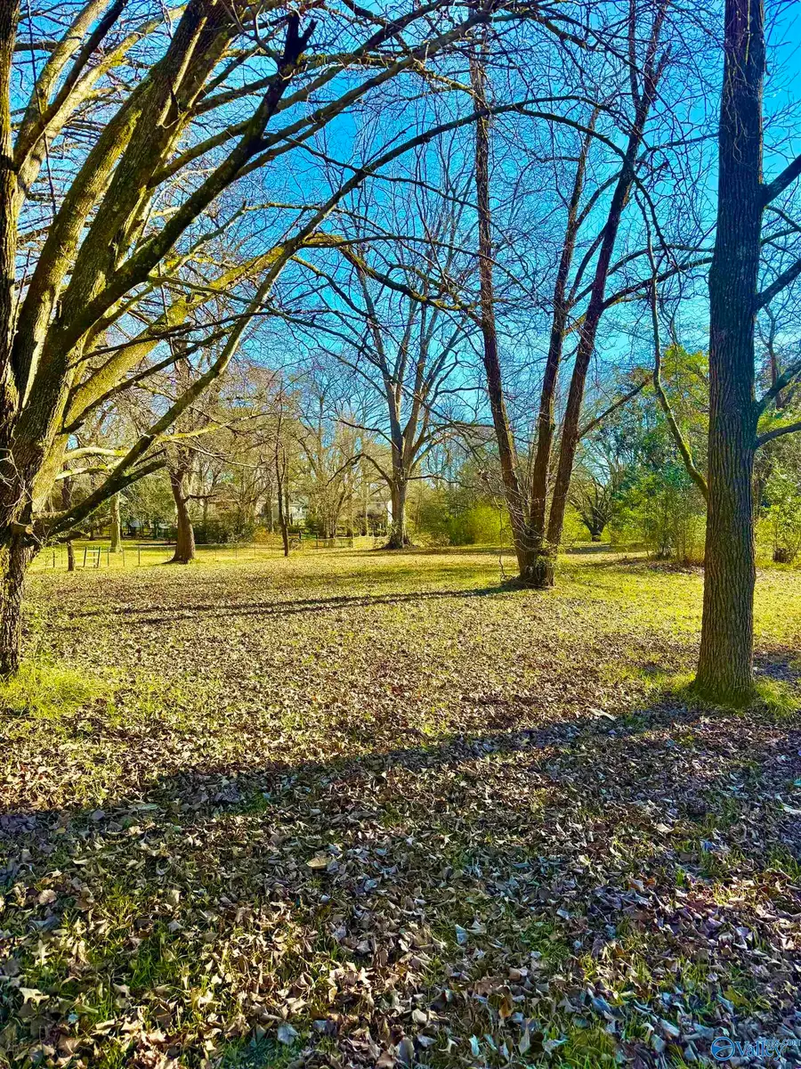 Lot 3 Corsbie Street, Hartselle, AL 35640 - Image #3