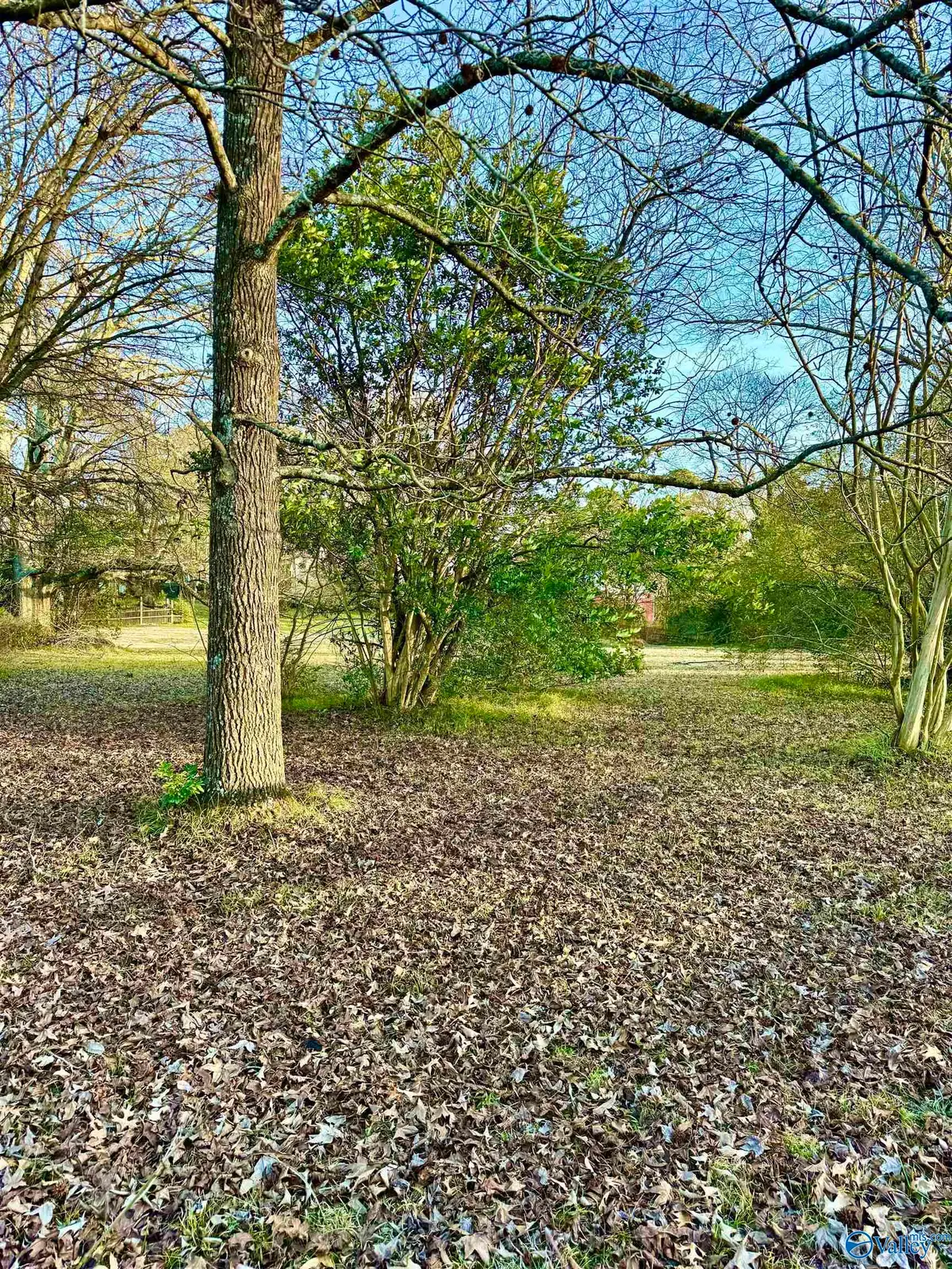 Lot 2 Corsbie Street, Hartselle, AL 35640 - Image #1