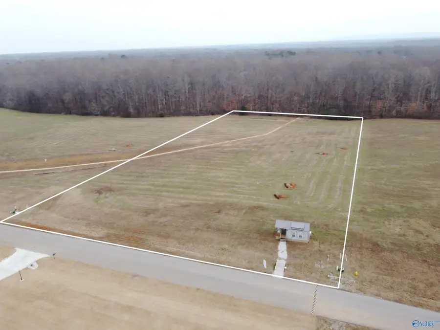 111 Sydney School Way, Hazel Green, AL 35750 - Image #2