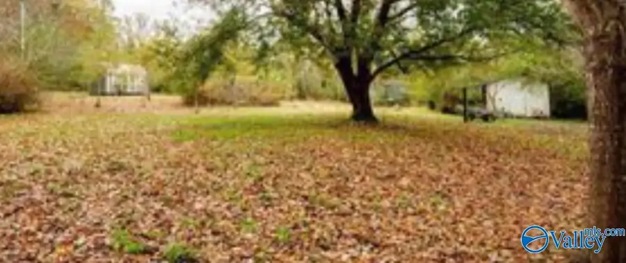 13315 County Road 63, Houston, AL 35572 - Image #3