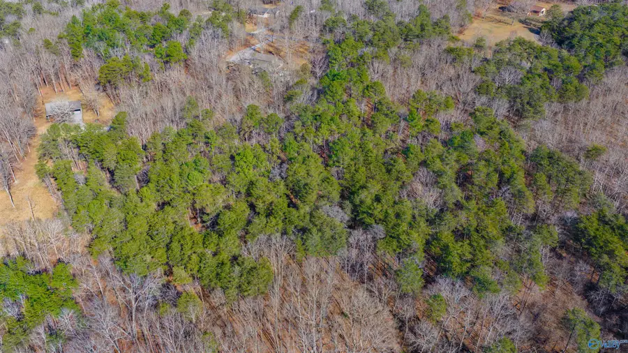 7.2 ACRES Bird Dog Trail Ne, Fort Payne, AL 35967 - Image #3