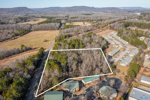 3 3/4 acres W Stewart Road, Scottsboro, AL 35769