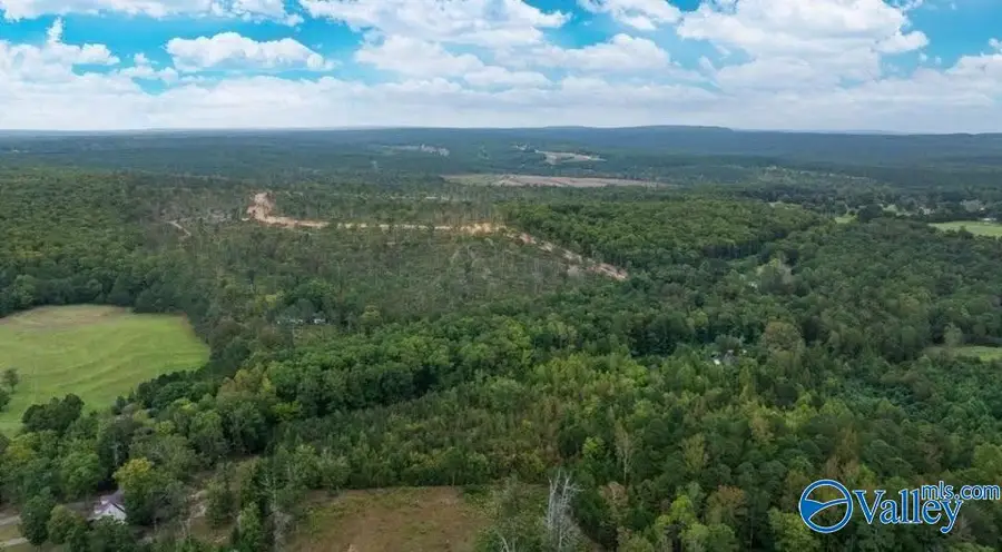 Tract 12 County Road 641, Mentone, AL 35984 - Image #3