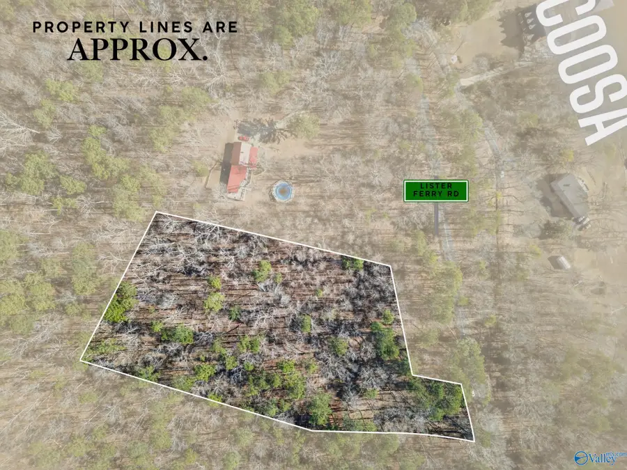 3.42 Acres Lister Ferry Road, Rainbow City, AL 35906 - Image #2