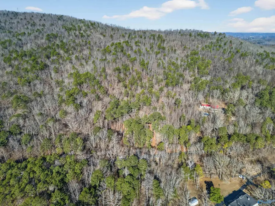 3.42 Acres Lister Ferry Road, Rainbow City, AL 35906 - Image #3