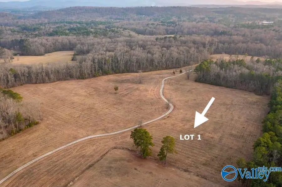 Lot 1 Cedar Springs Drive, Jacksonville, AL 36265 - Image #3
